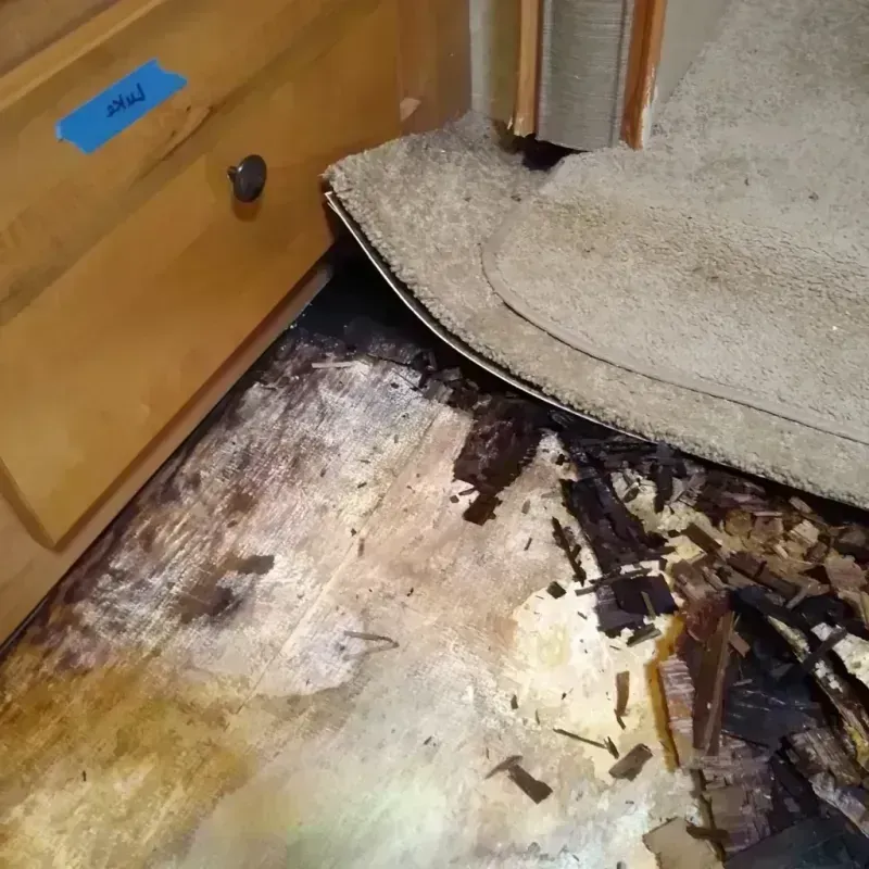 Wood Floor Water Damage in Erie, IL